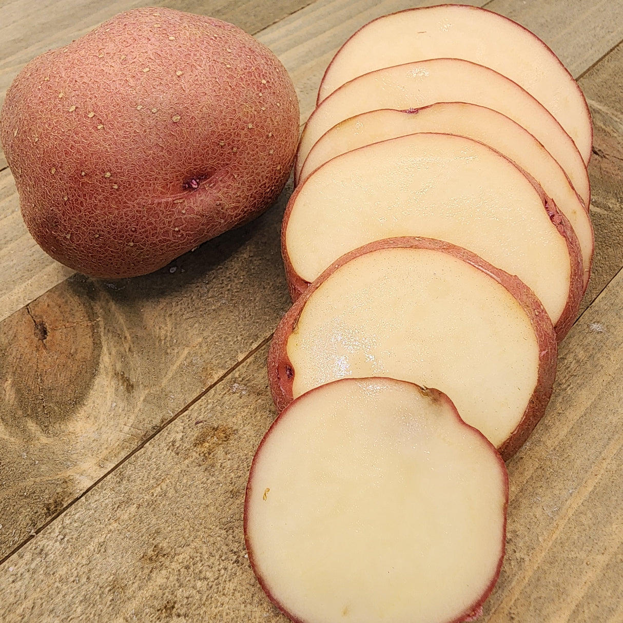 Potato (Mid-Season) - Red Pontiac (Organic rounds) *pre-order*