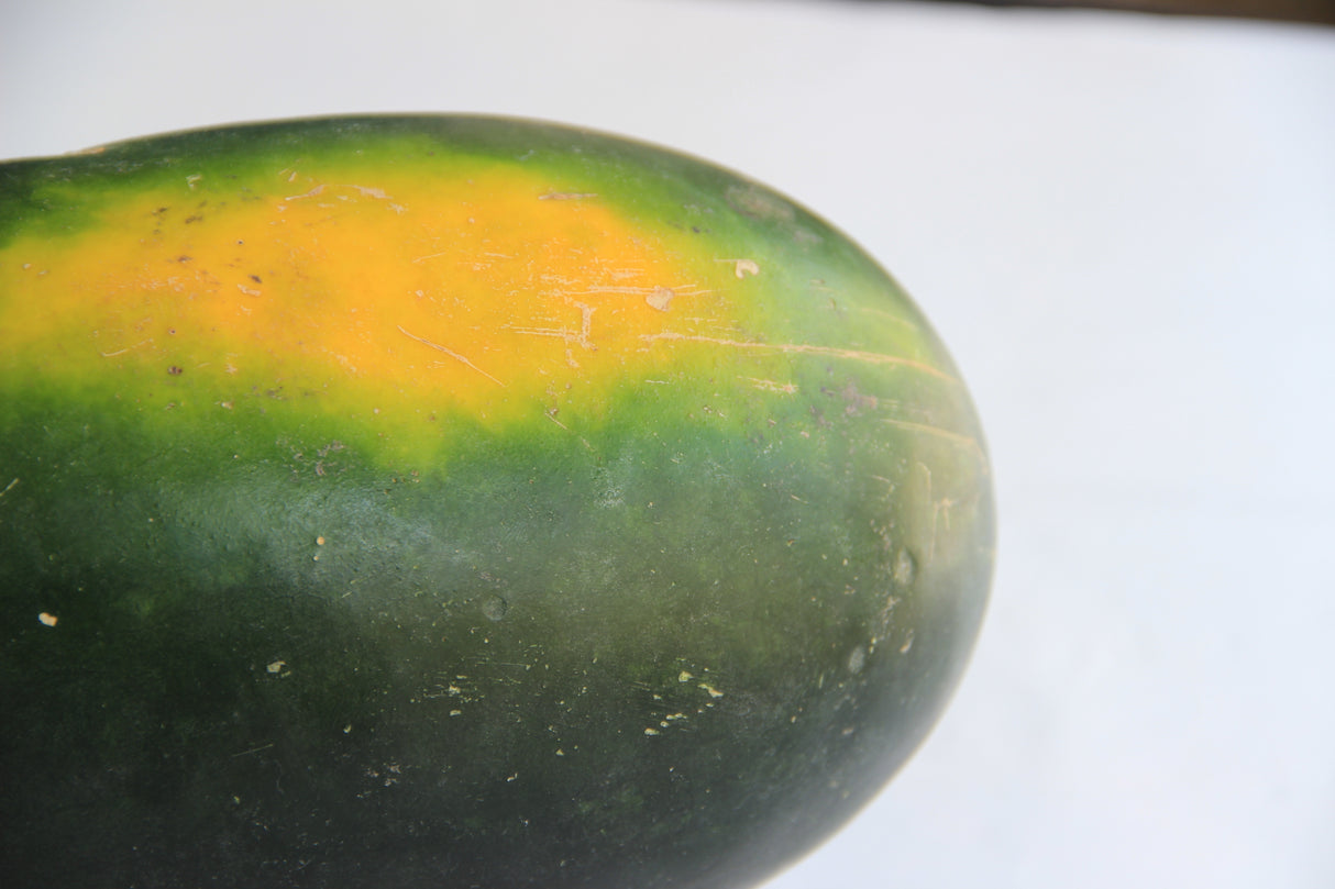 Watermelon - Moon & Stars (Yellow-flesh) seeds