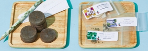 The Seed Club (BASIC PLAN) 3 seed packs/month plus essentials