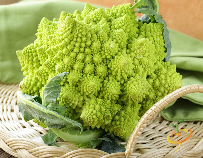 Broccoli - Romanesco Italia.