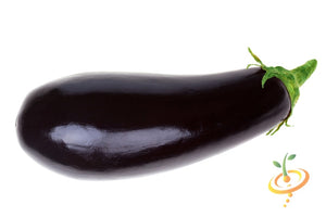 Eggplant - Florida Market.