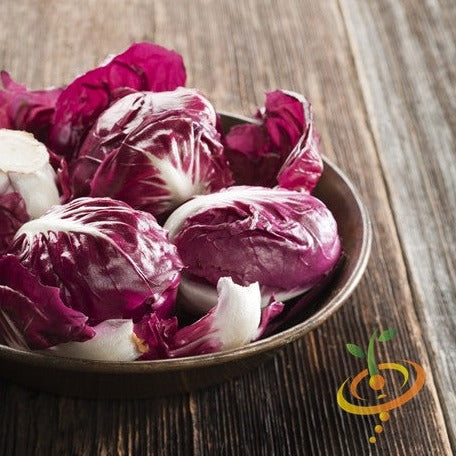 Radicchio - Classic Red (Italian Chicory) - SeedsNow.com