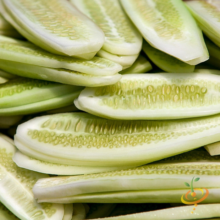 Cucumber - White Wonder.