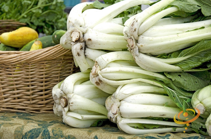 Cabbage - Bok Choy (Pac Choi).