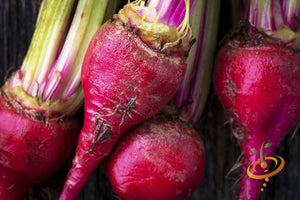 Beet - Chioggia.