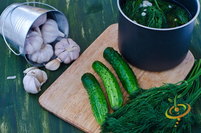 Cucumber - National Pickling.