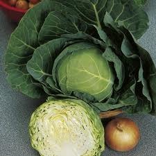 Cabbage - Acre, Golden.