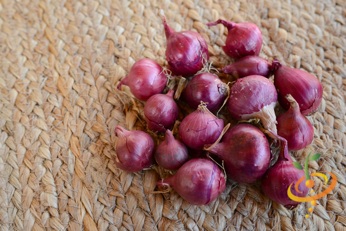 Onion (Sets) - Wethersfield, Red - SeedsNow.com