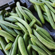 Long green Armenian cucumber seeds from SeedsNow, showing fresh, vibrant cucumber seeds with green skin and elongated shape.