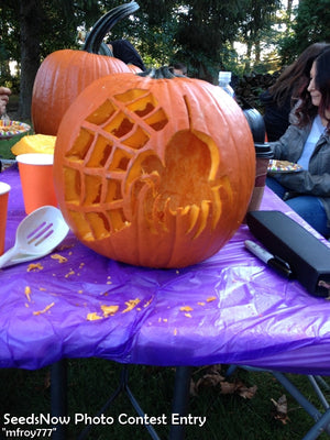 Pumpkin - Jack O' Lantern.