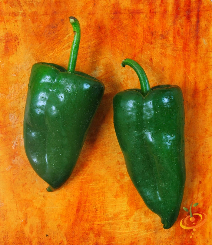 Pepper - Poblano.